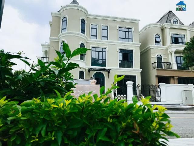 Bán bt lô góc 263m2 gia by kita hướng đông nam. Cách cv 65ha 270m