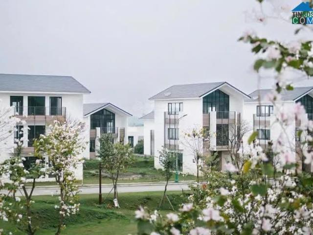 Bán Bt đơn lập hướng hồ vị trí đẹp BT DT11.04 dự án legacy hill