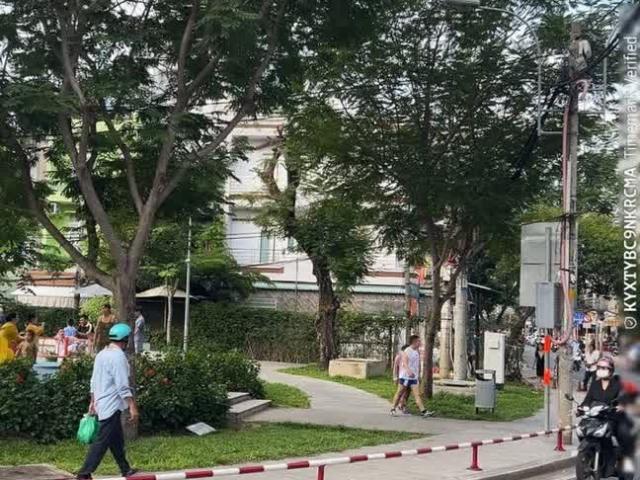 Bán Gấp Nhà 3 Tầng, Hẻm Xe Hơi, Đường Dạ Nam, Quận 8, Sổ Hồng, Giá Chỉ 7. Xx Tỷ TL
