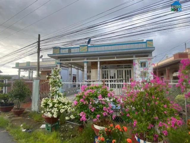 Bán Gấp Nhà Cấp 4, Giá 620TR. DT 324m2. Shr.Thanh phước Gò Dầu Tây Ninh