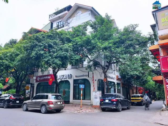 Bán gấp nhà phố tây hồ 50m² ô tô tránh nhau sổ vuông 12 tỷ