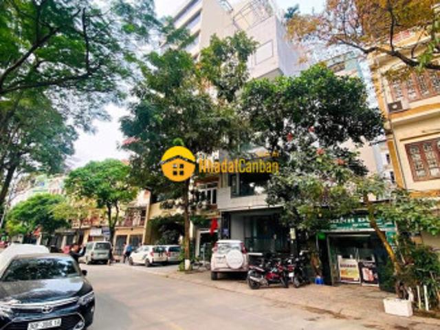 Bán gấp nhà phố trần quý cáp, 2 thoáng, ô tô tránhdt 95m2, 4tầng, mt 5m, 18.5tỷ