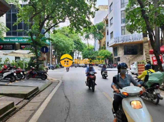 Bán gấp nhà phố cát linh, 2 thoáng, ô tô tránh dt 80m2, 5tầng, mt 6m, 22.5tỷ