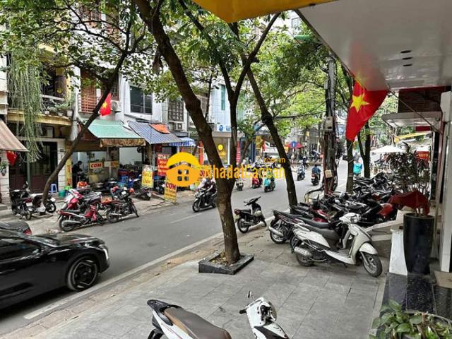 Bán gấp nhà phố phạm ngọc thạch, ô tô kinh doanhdt 140m2, 4 tầng, mt 18m, 32tỷ
