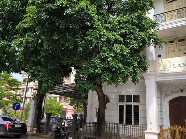 Bán gấp biệt thự Nguyễn Cơ Thạch, Mỹ Đình, 105m2 4 tầng vị trí đẹp, phù hợp ở, văn phòng