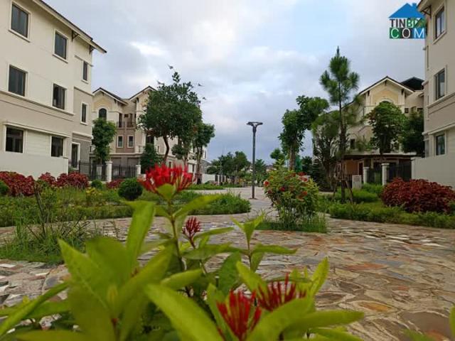 Bán gấp căn biệt thự vườn 135m2 kđt Centa Vsip Từ Sơn