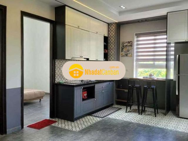 Bán gấp chung cư ô chợ dừa xã đàn 34 65m2 ở luôn