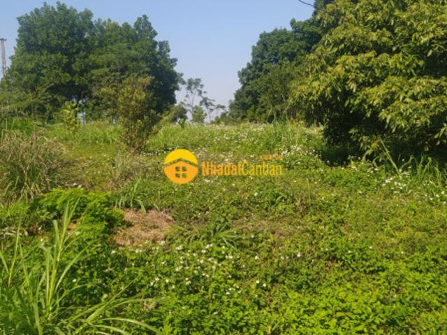 Bán gấp đất lương sơn, hòa bình 3000m2, giá 4,5 tỷ