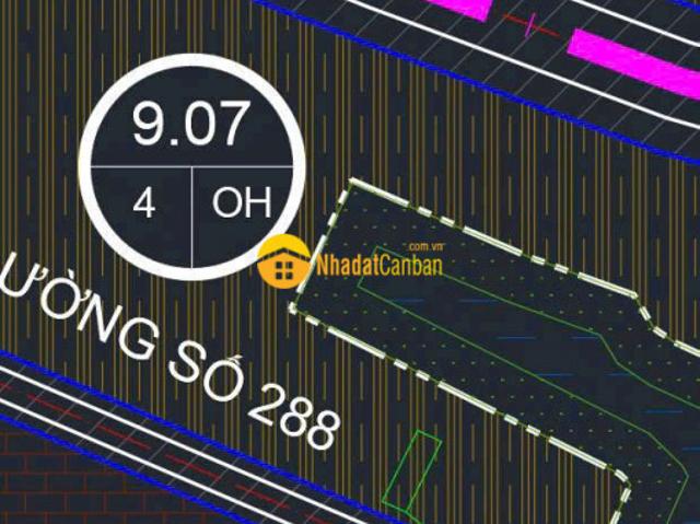 Bán dãy trọ cũ 6p9tr đường đình hội tăng nhơn phú b, diện tích 100m2 giá 5,2ty