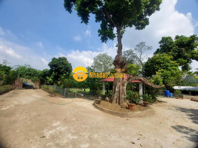 Bán khu nghỉ dưỡng lương sơn, hòa bình. Dt 10.000m2 giá chỉ nhỉnh 1trm