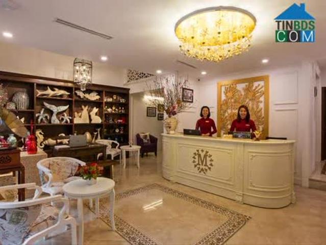 Bán Khách Sạn Phố Cổ 110m2 x 7 tầng, MT 6m Vị Trí Đắc Địa Doanh Thu 1 tỷ/Tháng