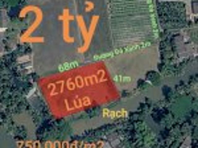 Bán Hạ Giá Lô Đất Lúa Xã Vàm Cỏ Gần Quốc Lộ 50B Giá 2 Tỷ