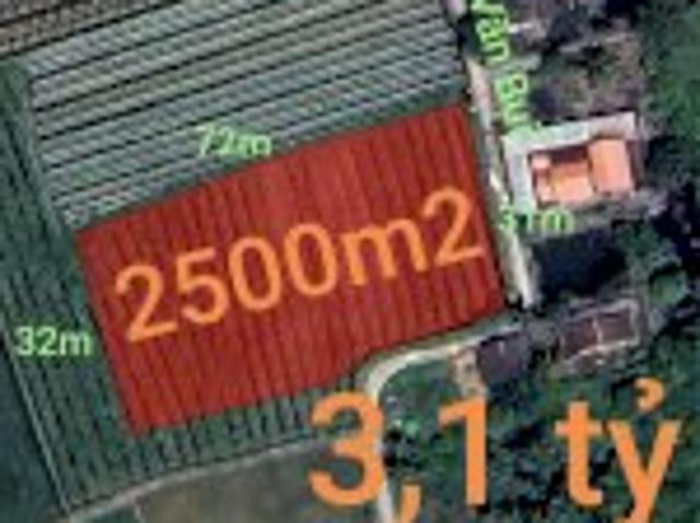 Bán Lô Đất Lúa Chuyển Thổ Xã Vàm Cỏ Gần Quốc Lộ 50B Giá 3,1 Tỷ