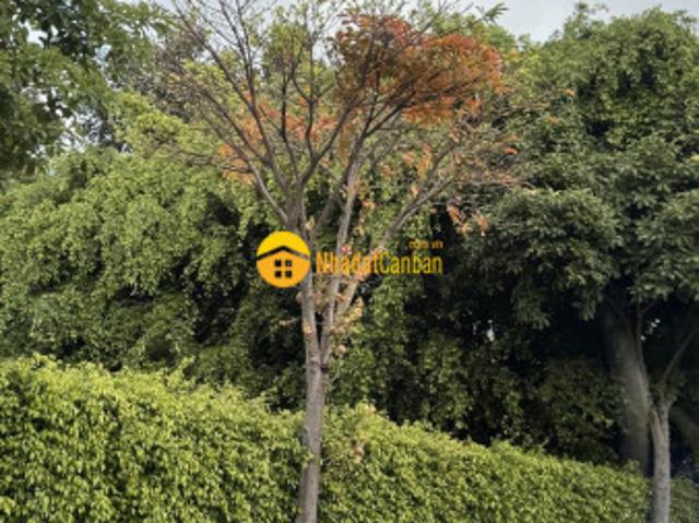 Bán lô đất đẹp hẻm 568 lê văn việt, p. Long thạnh mỹ, q9 dt 64m2 giá 4,7ty tl