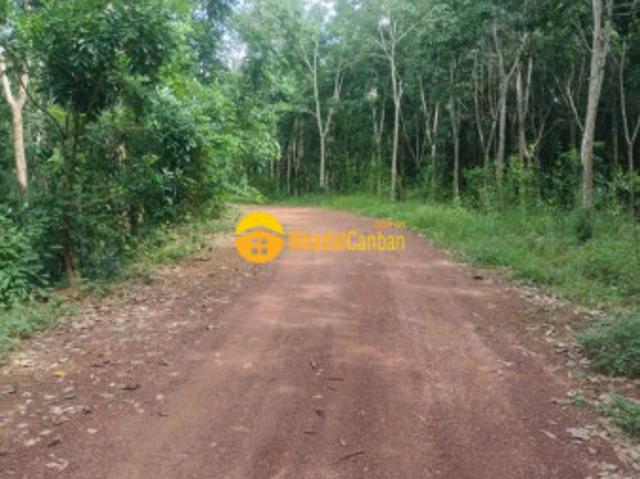 Bán lô đất đẹp tại xã tân hưng, huyện hớn quản, tỉnh bình phước diện tích 10 ha