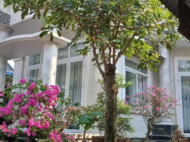 Bán lô đất rộng 2400m2. Tặng căn BIỆT THỰ đẹp LONG LANH sát đường DT870 lên Cầu Rạch Miễu 2