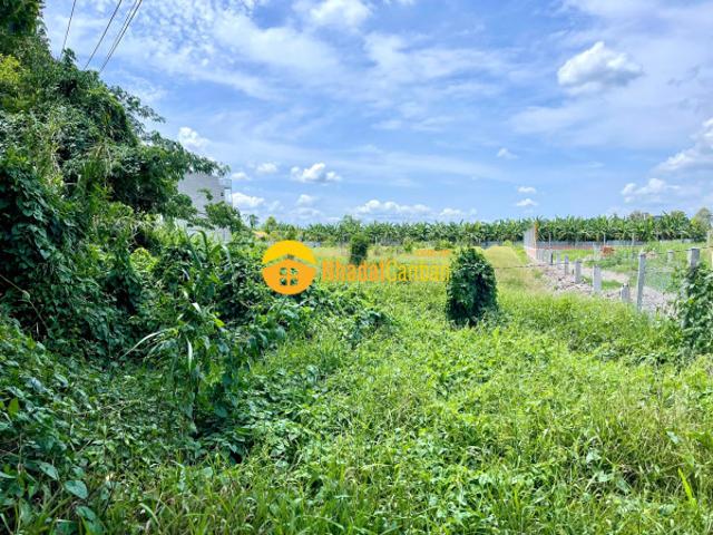 Bán miếng đất 1306m2 nằm mặt tiền lộ cái chanh, xã châu thành, tp cần thơ. Gần kdc đông phú