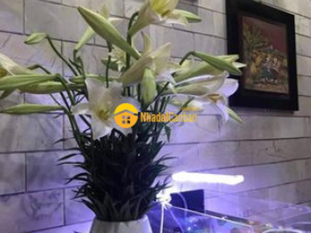 Bán nhà mới lê đức thọ 55m x 4 tầng, 5 tỷ, oto, ở luôn