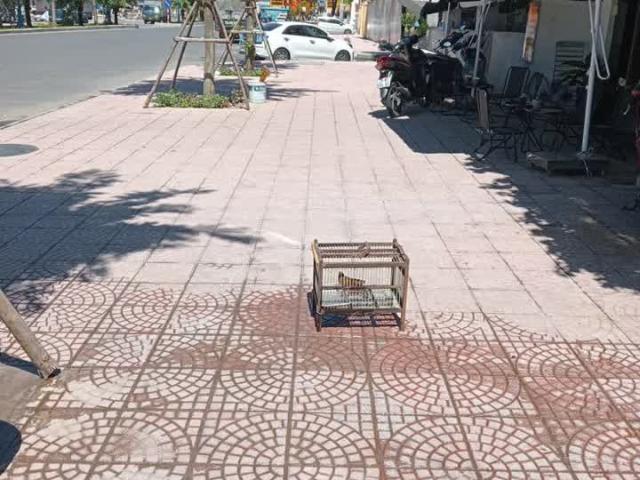 Bán nhà mặt phố Tứ Hiệp 60m 4 tầng mt 4.1m chỉ 12 tỷ. LH: em Thúy 0365904