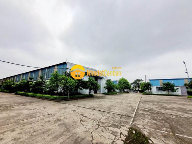 Bán nhà máy phố nối, mỹ hào, hưng yên, dt 34.000m2150x220m. Giá chào 200 tỷ