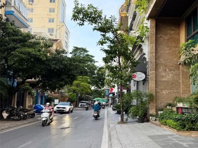 Bán nhà gần Mặt phố Liễu Giai Đào Tấn Linh Lang 136m² Giá 48 tỷ