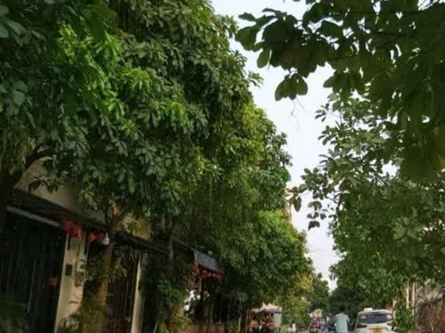 Bán nhà Gò Vấp, hẻm xe hơi Lê Đức Thọ, 76M², 5 tầng, 5Pn, nhà đẹp ở ngay, chỉ 8.9 tỷ TL