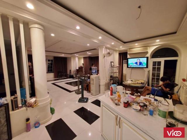 Bán nhà phố đặng thái thân, 340m2 x 3t x mt 13m x 290 tỷ. Kinh doanh siêu đẹp