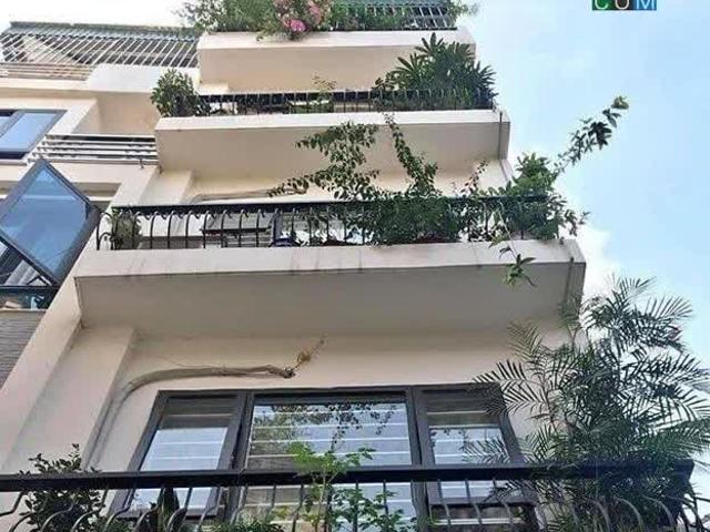 Bán nhà phố Phan Kế Bính Ba Đình, 45m2, 5 tầng, vị trí cực đẹp, 10m ra ô tô!