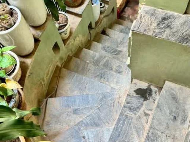 Bán Nhà Phố Thanh Xuân Ô Tô Tránh Diện Tích 70M Chủ Định Cư Anh Quốc