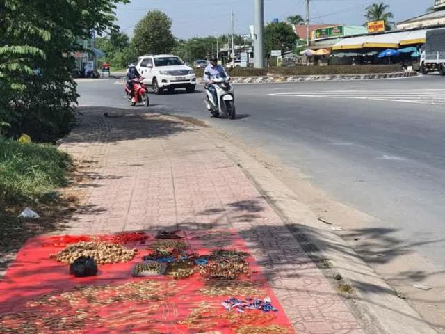 Bán Nhà Phú Hữu Cách Quận 2 10 Phút, 107,2m², Mặt Tiền Lý Thái Tổ – Giá 4,6 Tỷ