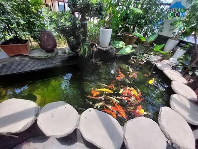 BÁN NHÀ TẶNG CÁ KOI Siêu Phẩm lô góc 40m2x5T mặt phố Kim Hoa, Đống Đa hơn 12 Tỷ