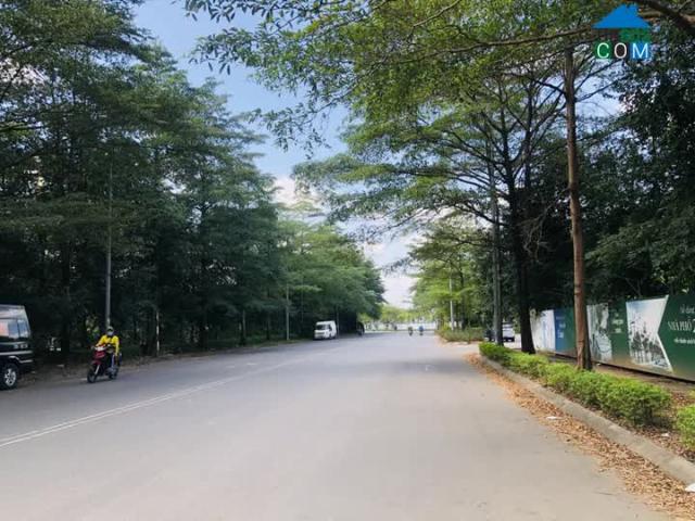 Bán Nhà Đất Đẹp Trung Tâm Chỉ Sẵn Về Ở Kinh Doanh Đắc Địa Mặt Tiền Rộng Tặng Nhà Đẹp