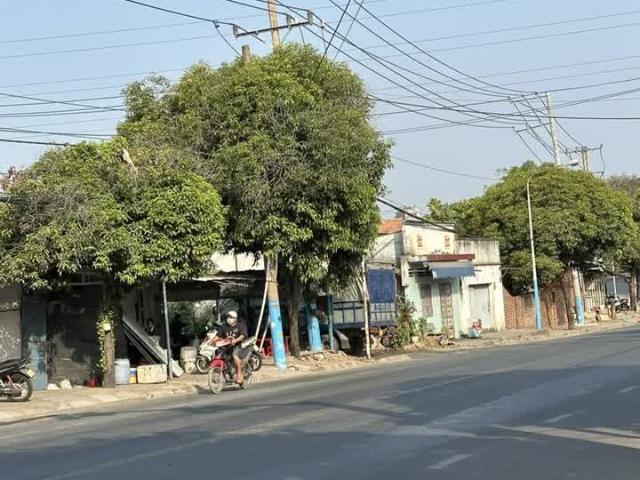Bán nhà trọ khu phố bình thung 1, thị xã Dĩ An, Bình Dương