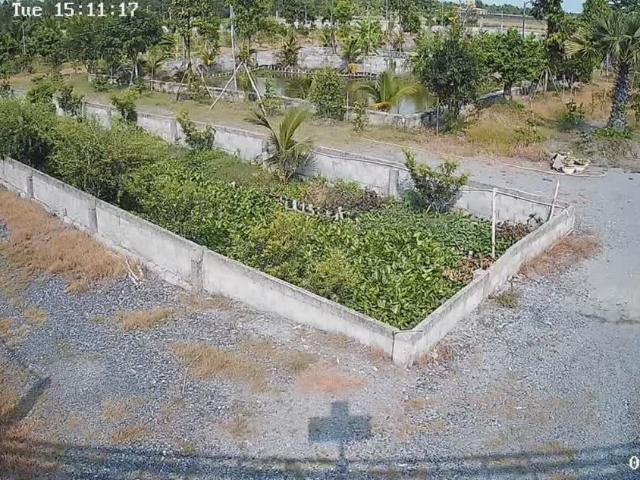 Bán Nhà Vườn 12.000m2, Giá 31 Tỷ, Kênh 12, Xã Lê Minh Xuân Bình Chánh TPHCM