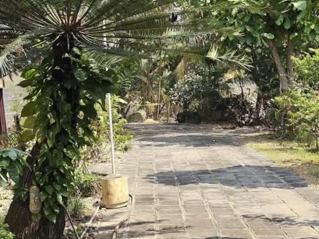 Bán nhà vườn Nguyễn Thị Chiên, Tân An Hội, Củ Chi: 13.381m2, giá 30 tỷ