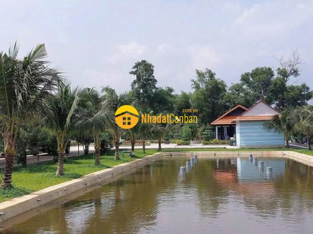 Bán nhà vườn đẹp thị trấn hậu nghĩa, đức hòa tdt 4300m2 có 292m2 thổ cư giá 12,5 tỷ