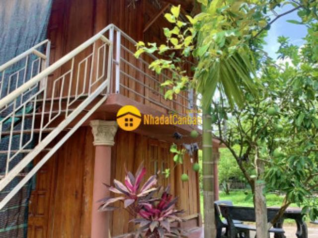Bán nhà vườn sẵn khuôn viên nhà sàn tại, lạc sơn, hòa bình. 1732m2, giá chỉ 4 tỷ