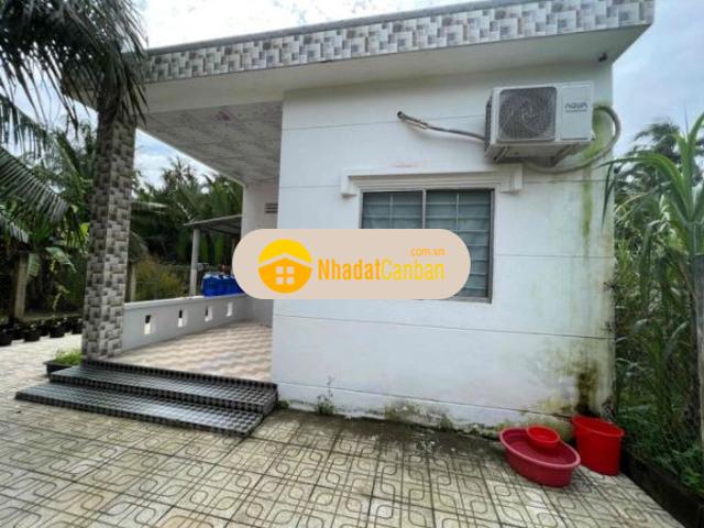 Bán nhà và đất xã thành an mỏ cày bắc bến tre