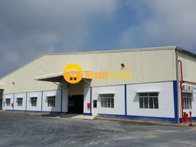 Bán nhà xưởng mt đường n2, thạnh hóa, long an. Dt 7000m2 ngang 70m. Full thổ cư. gía 45 tỷ