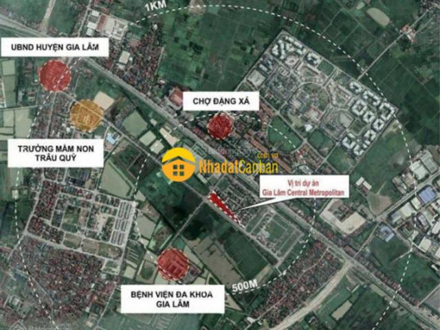 Bán nhà 5 tầng mặt phố nguyễn mậu tàitrâu quỳ 81m2 view hồ điều hòa công viên, kinh doanh