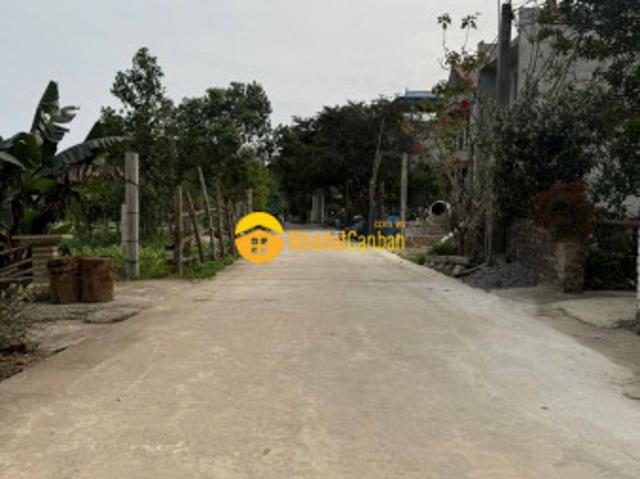 Bán nhanh 175m2 đất tại thôn 1 phú hữu tân xã, sát khu cnc hòa lạc và trường fpt lh0866990