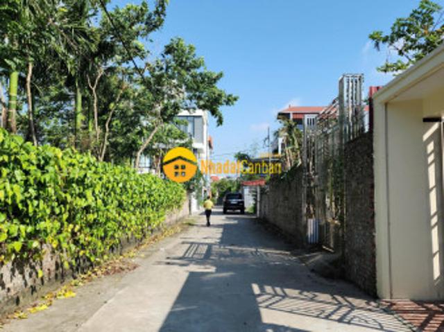 Bán nhanh, 180m2 đấu giá giáp vành đai 4, đình dù. Văn lâm. Hy 0835459