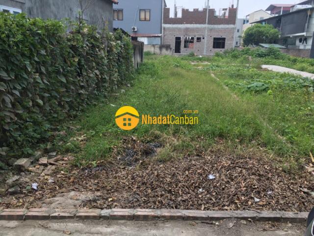 Bán nhanh 70m2 đất thổ cư, đình dù, sát kcn phố nối a, ô tô vào
