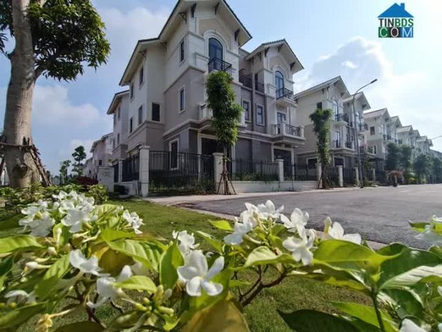 Bán nhanh căn BTSL 135m2 lô góc đẹp nhất dự án Centa City Từ Sơn