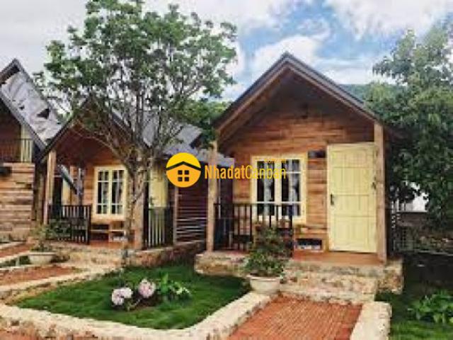 Bán nhanh biệt thự nhà vườn 300m2 có nhà 80m2. Ở lộc an, lâm đồng. Giá 1,370 tỷ.có sổ hồng. 0979348