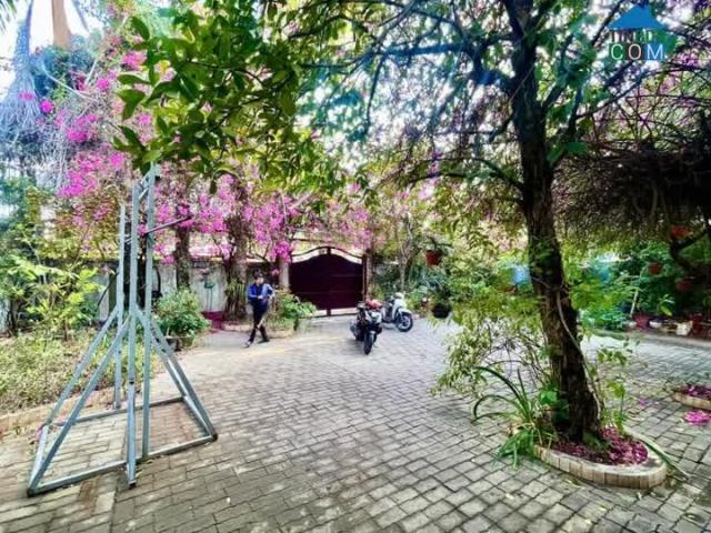 Bán đất tặng biệt thự sân vườn 1200m2 MT Huỳnh Tấn Phát, Nhà Bè, 64 tỷ 8