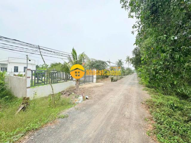 Bán đất thổ vườn đường đá xanh 6m tại bình đức, bến lức tdt 2000m2 756m2 thổ giá 1,8 tỷ