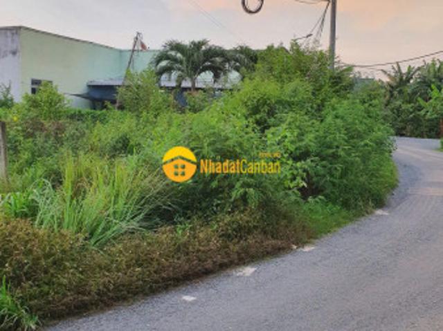 Bán đất thổ cư mt nguyễn văn thậm, xã phước hậu dt 106,5m2 giá 1,35 tỷ