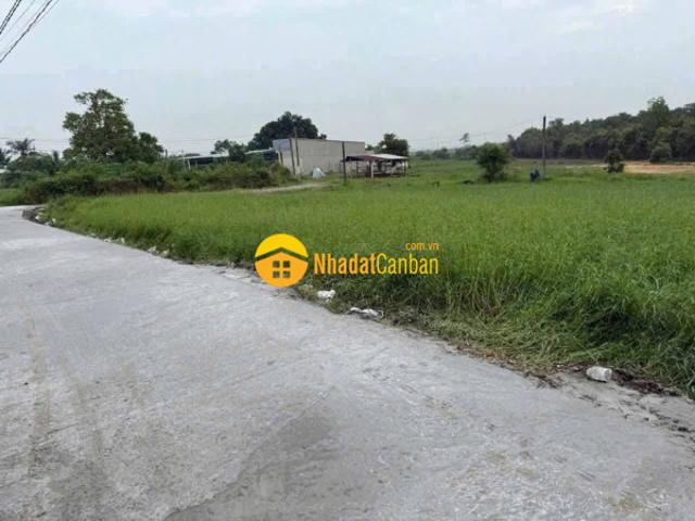 Bán đất thổ cư đường beton xe hơi xã đức lập hạ, gần kcn đức hòa 3 dt 450m2 giá 2,45 tỷ