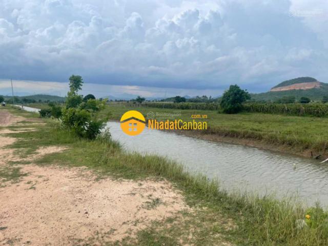 Bán đất thổ cư biển đất vườn bình thuận sổ sẵn chính chủ giá từ 272tr. Số điện thoại có zalo ạ